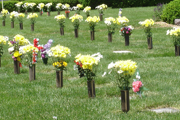 line of vases on grounds